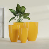 Brannan Tapered Round fiberglass planter in Gloss Saffron, size range, in a sunlit interior