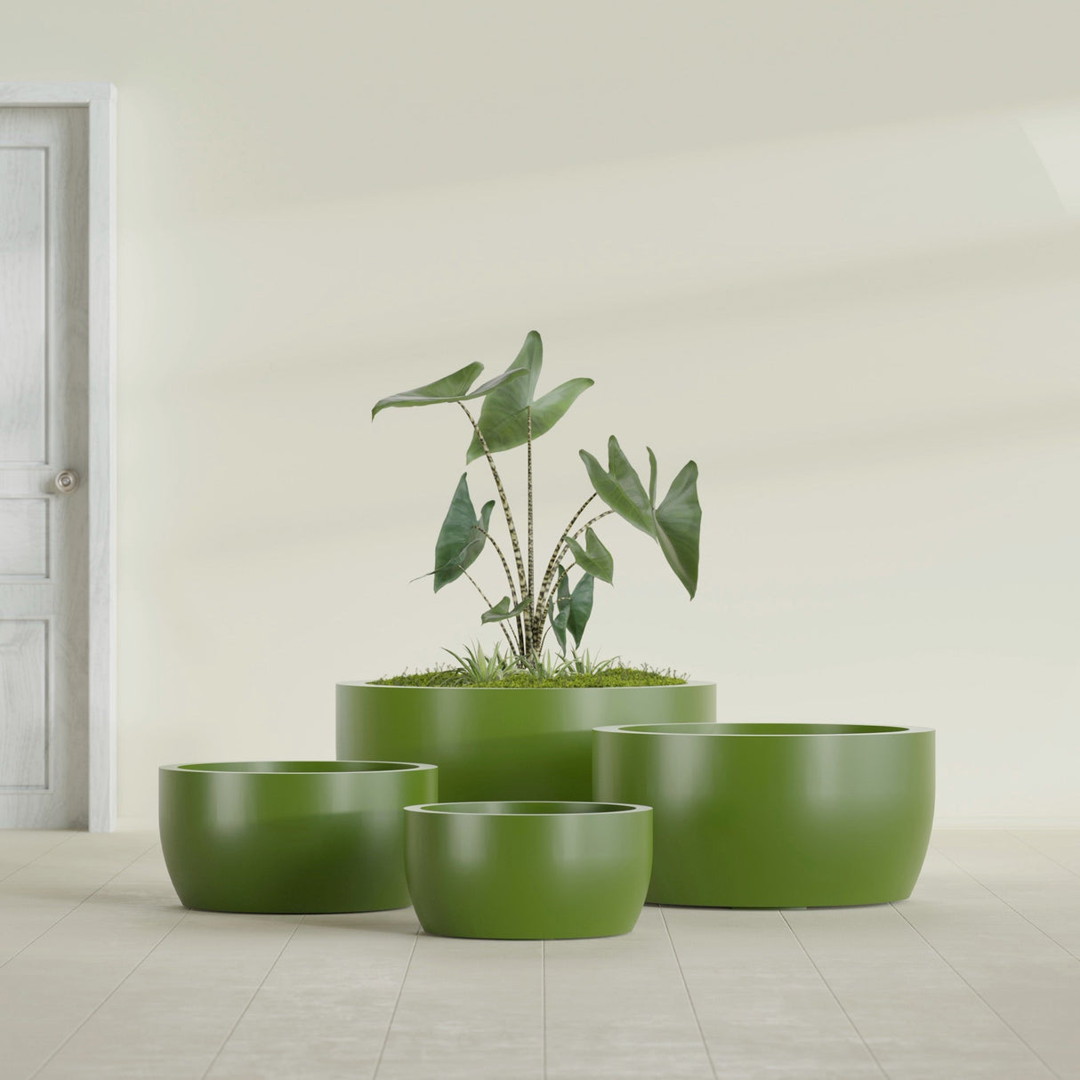 Casablanca Bowl fiberglass planter in Satin Green, size range, in a sunlit interior