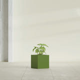 Monaco Cube fiberglass planter in Satin Green, shown planted, in a sunlit interior