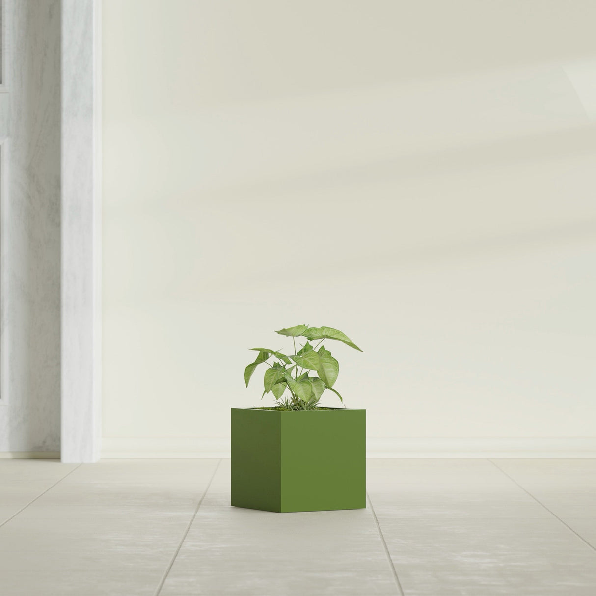 Monaco Cube fiberglass planter in Satin Green, shown planted, in a sunlit interior