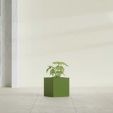 Monaco Cube fiberglass planter in Satin Green, shown planted, in a sunlit interior