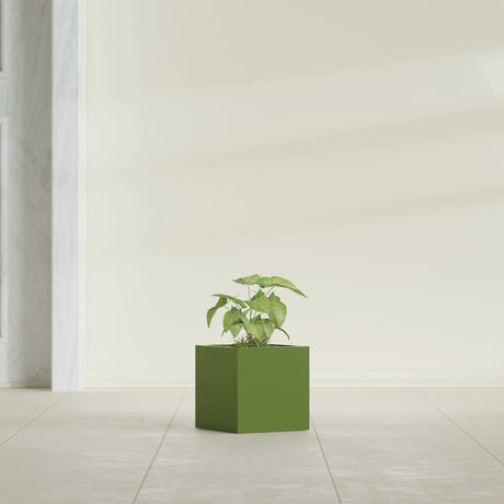 Monaco Cube fiberglass planter in Satin Green, shown planted, in a sunlit interior