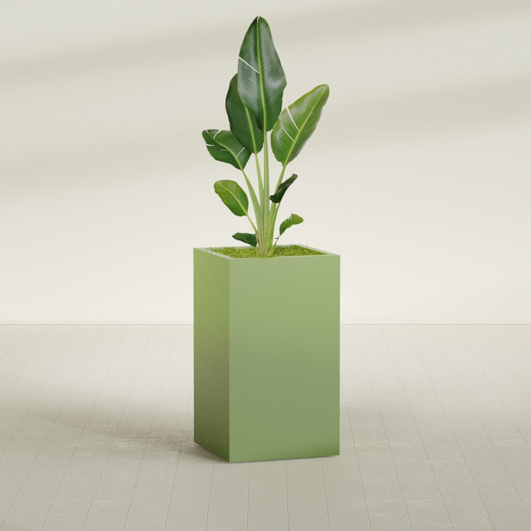 Darwin Corner fiberglass planter in Satin Green, shown planted, in a sunlit interior