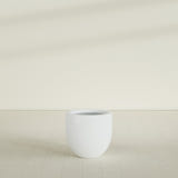 Alzira Bowl Planter in Matte Bright White, 23"D × 22"H, shown empty
