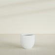 Alzira Bowl Planter in Matte Bright White, 23"D × 22"H, shown empty