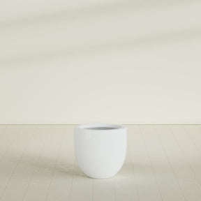 Alzira Bowl Planter in Matte Bright White, 23"D × 22"H, shown empty