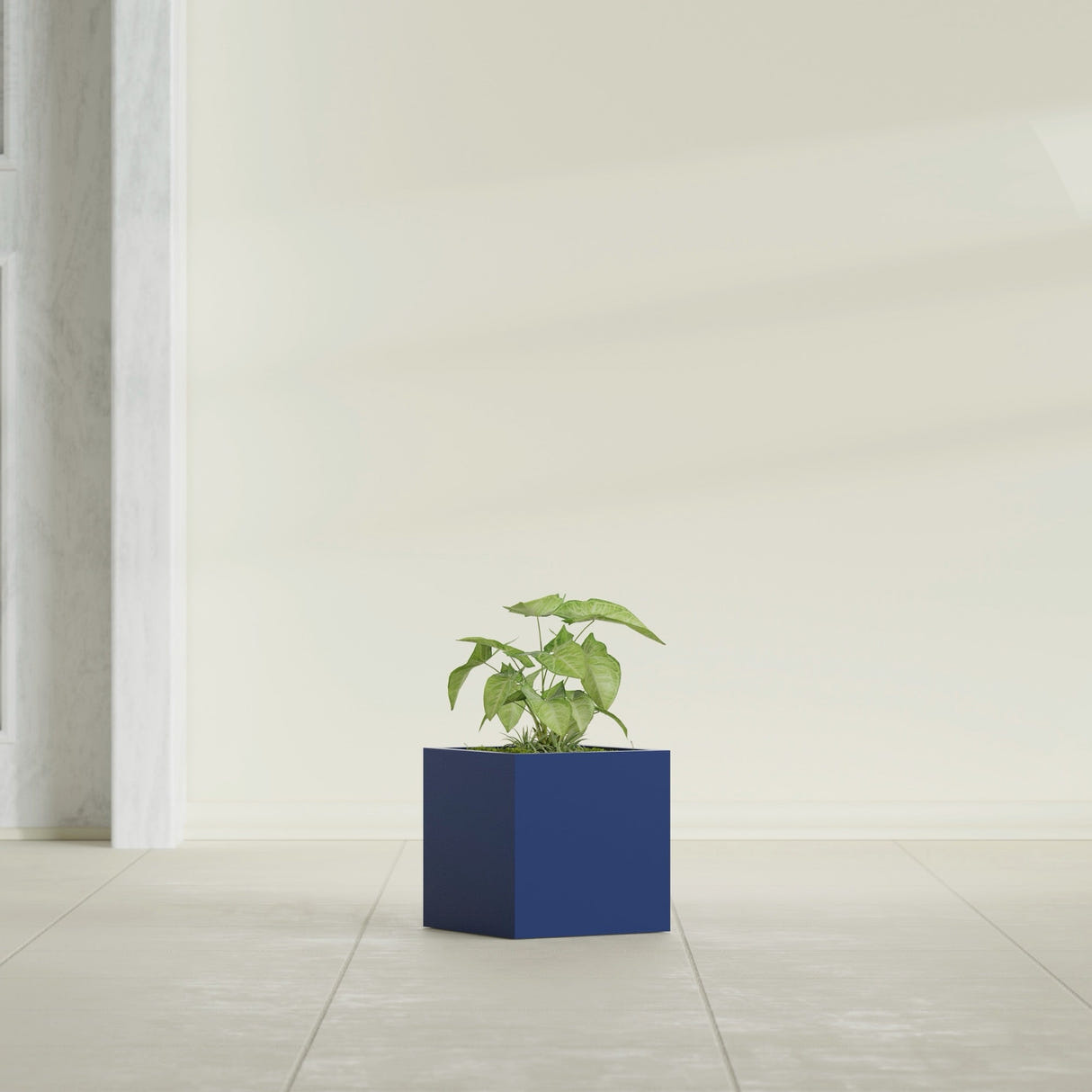Monaco Cube fiberglass planter in Matte Cobalt Blue, shown planted, in a sunlit interior