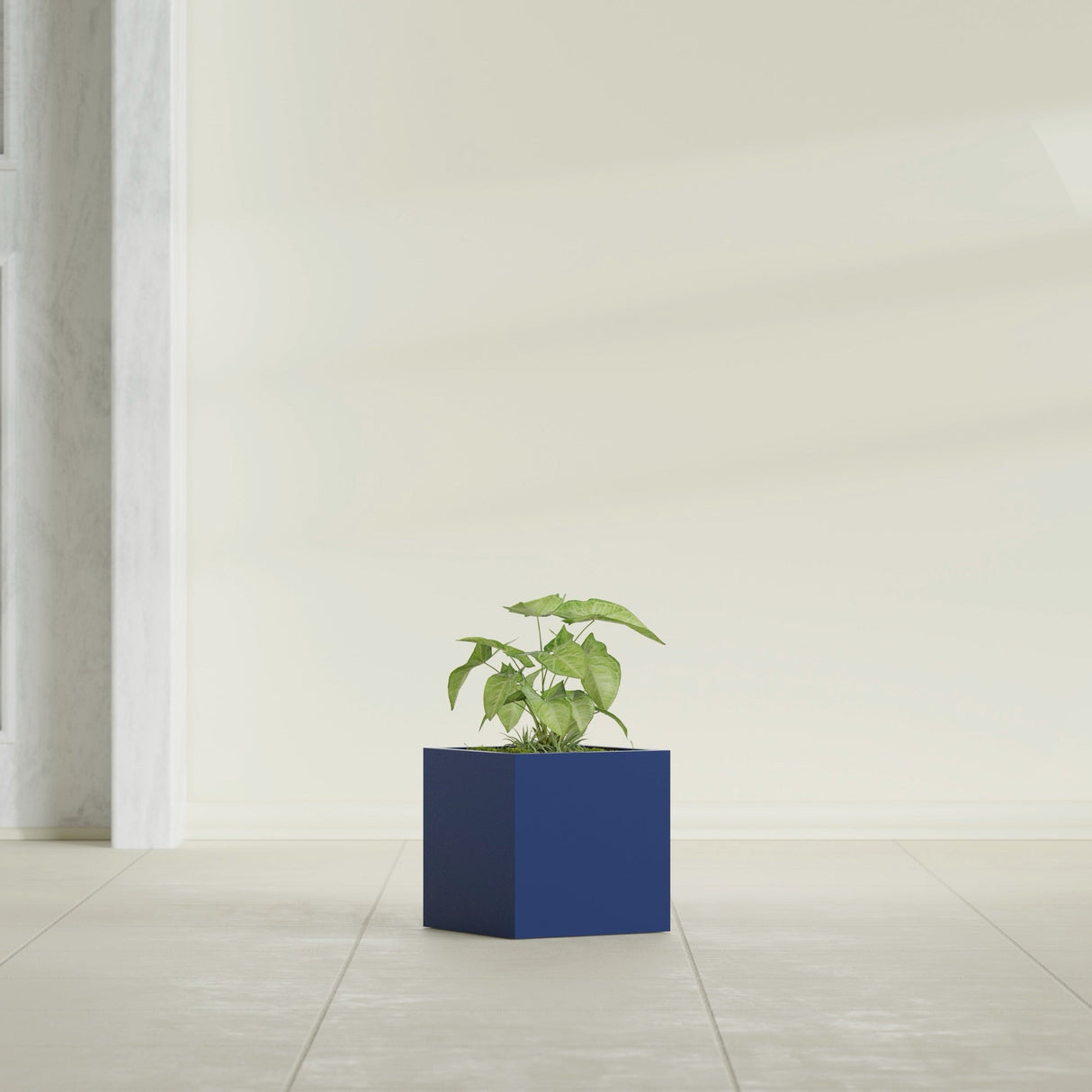 Monaco Cube fiberglass planter in Matte Cobalt Blue, shown planted, in a sunlit interior