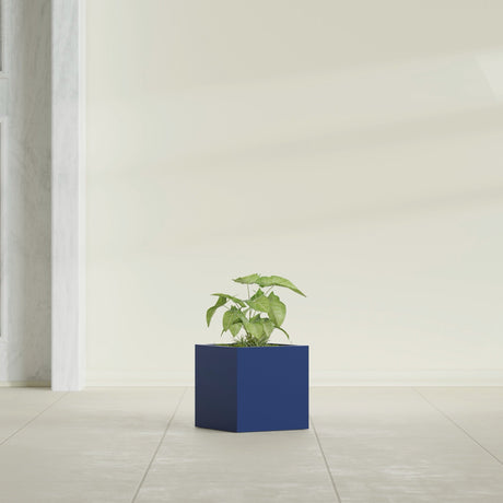 Monaco Cube fiberglass planter in Matte Cobalt Blue, shown planted, in a sunlit interior