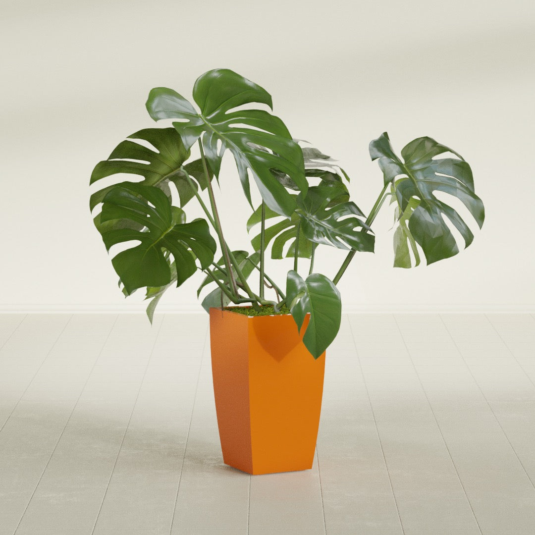 Toulan Tapered Square fiberglass planter in Gloss Tangerine, shown planted, in a sunlit interior