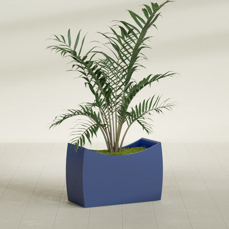 Seoul Curved fiberglass planter in Matte Cobalt Blue, shown planted, in a sunlit interior