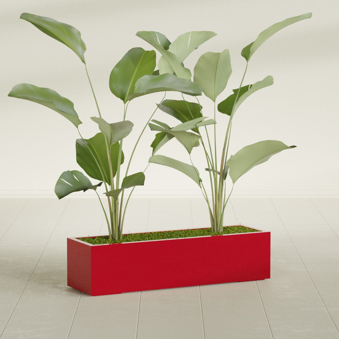 Cuba Low Rectangular fiberglass planter in Gloss Red, shown planted, in a sunlit interior