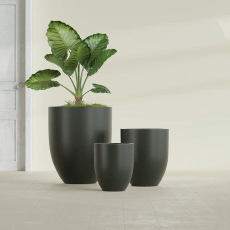 Valencia Tapered Round fiberglass planter in Matte Charcoal, size range, in a sunlit interior