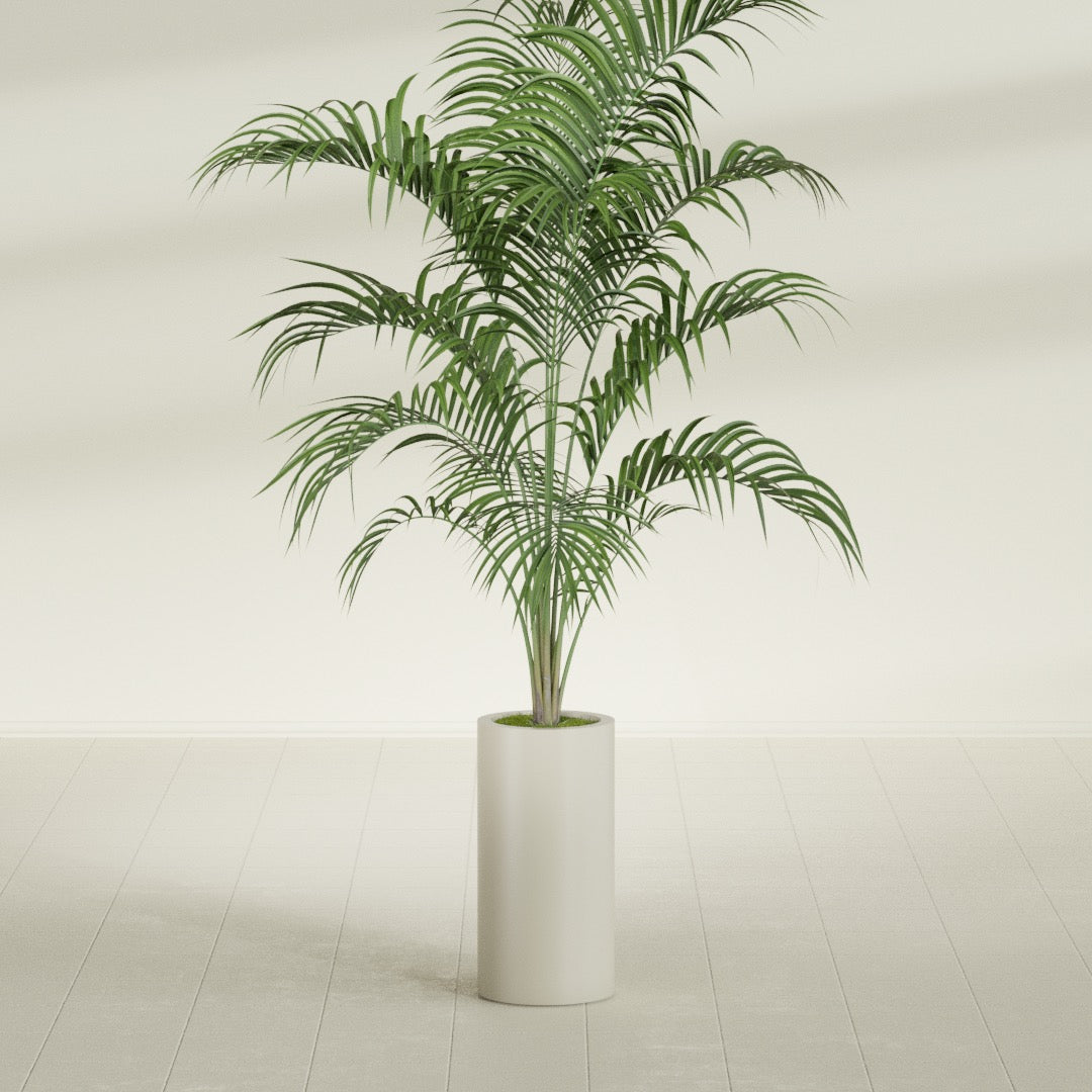 Corry Cylinder fiberglass planter in Satin Beige, shown planted, in a sunlit interior
