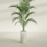 Corry Cylinder fiberglass planter in Satin Beige, shown planted, in a sunlit interior