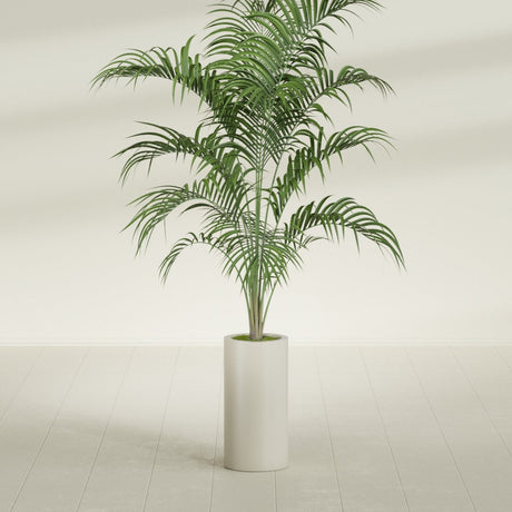 Corry Cylinder fiberglass planter in Satin Beige, shown planted, in a sunlit interior