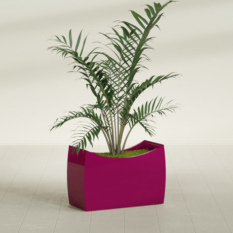 Seoul Curved fiberglass planter in Gloss Eggplant, shown planted, in a sunlit interior