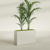 Potsdam Corner fiberglass planter in Satin Beige, shown planted, in a sunlit interior