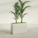 Potsdam Rectangular fiberglass planter in Satin Beige, shown planted, in a sunlit interior