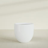 Alzira Bowl Planter in Matte Bright White, 36"D × 34"H, shown empty