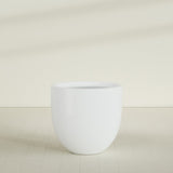 Alzira Bowl Planter in Matte Bright White, 36"D × 34"H, shown empty
