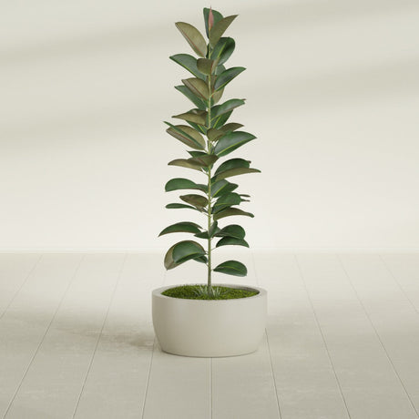 Casablanca Bowl fiberglass planter in Satin Beige, shown planted, in a sunlit interior