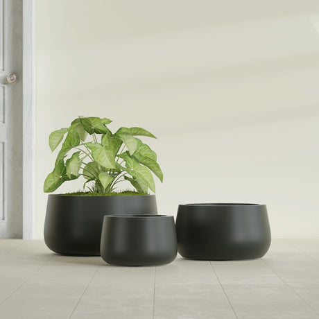 Short Hayden Bowl fiberglass planter in Matte Charcoal, size range, in a sunlit interior