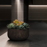 Mondo Low round Cosapots fiberglass planter, shown planted with succulents in a lit interior.