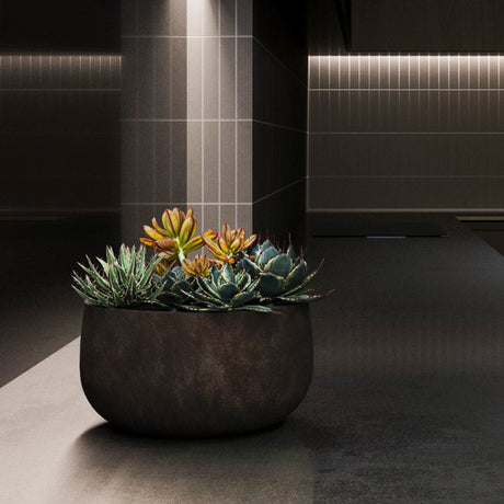 Mondo Low round Cosapots fiberglass planter, shown planted with succulents in a lit interior.