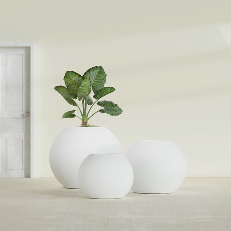 Globe fiberglass planter in Matte Bright White, size range, in a sunlit interior