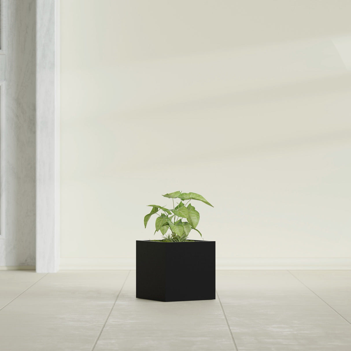 Monaco Cube fiberglass planter in Matte Black, shown planted, in a sunlit interior