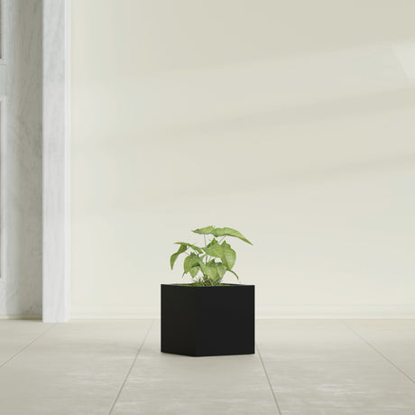 Monaco Cube fiberglass planter in Matte Black, shown planted, in a sunlit interior