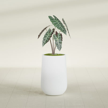 Hayden Urn fiberglass planter in Gloss Bright White, shown planted, in a sunlit interior