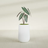 Hayden Urn fiberglass planter in Gloss Bright White, shown planted, in a sunlit interior