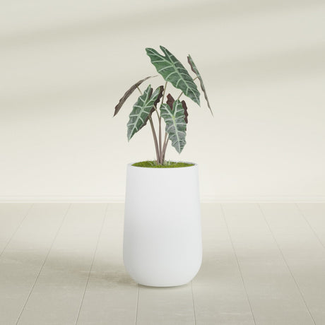 Hayden Urn fiberglass planter in Gloss Bright White, shown planted, in a sunlit interior