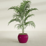 Shanghai Fishbowl fiberglass planter in Gloss Eggplant, shown planted, in a sunlit interior