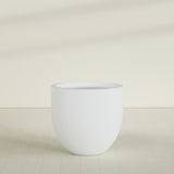 Alzira Bowl Planter in Gloss Bright White, 36"D × 34"H, shown empty