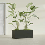 Badalona Rectangular fiberglass planter in Matte Charcoal, shown planted, in a sunlit interior