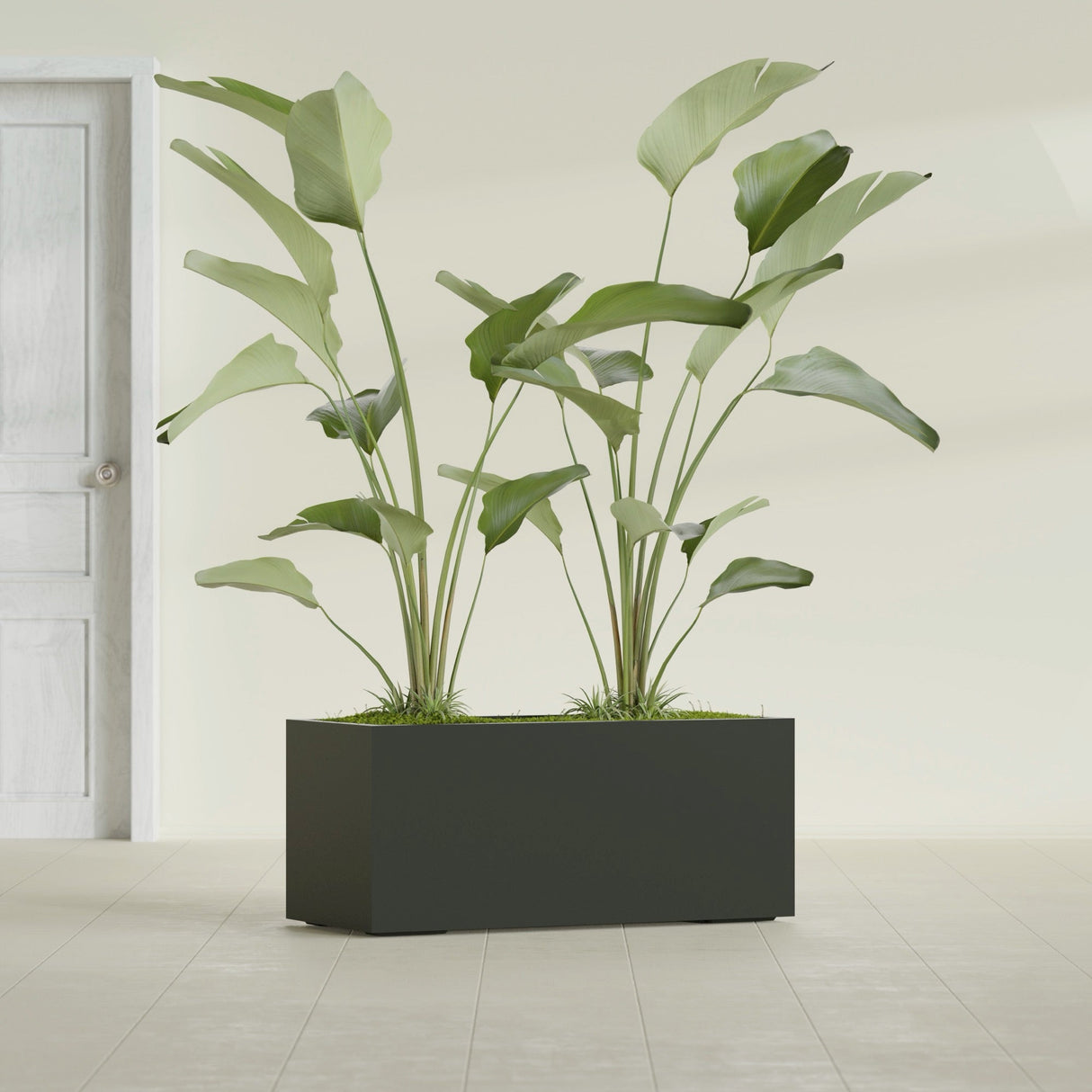 Badalona Rectangular fiberglass planter in Matte Charcoal, shown planted, in a sunlit interior