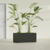 Badalona Rectangular fiberglass planter in Matte Charcoal, shown planted, in a sunlit interior