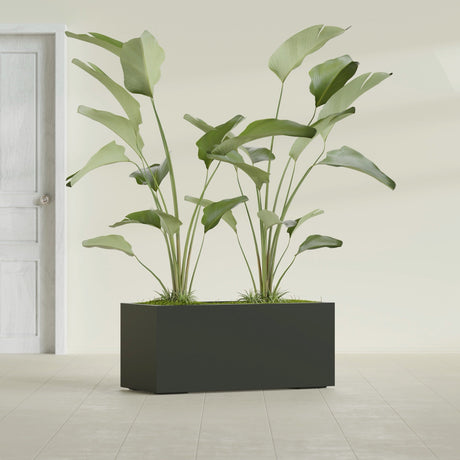 Badalona Rectangular fiberglass planter in Matte Charcoal, shown planted, in a sunlit interior