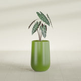 Hayden Urn fiberglass planter in Satin Green, shown planted, in a sunlit interior