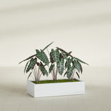 Antwerp Corner fiberglass planter in Gloss Bright White, shown planted, in a sunlit interior