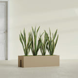 Tiergarden Railing fiberglass planter in Gloss Metallic Gold, shown planted, in a sunlit interior