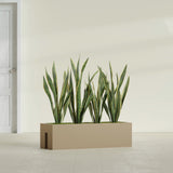 Tiergarden Railing fiberglass planter in Gloss Metallic Gold, shown planted, in a sunlit interior