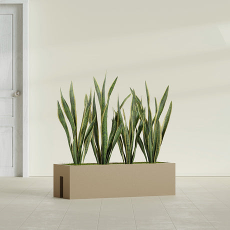 Tiergarden Railing fiberglass planter in Gloss Metallic Gold, shown planted, in a sunlit interior