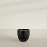 Alzira Bowl Planter in Matte Black, 23"D × 22"H, shown empty
