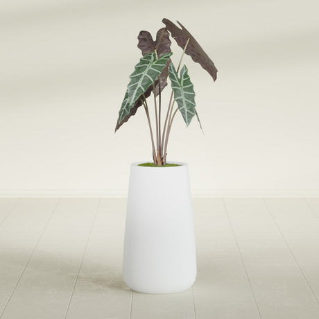 Saigon Tapered Round fiberglass planter in Gloss Bright White, shown planted, in a sunlit interior