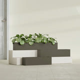 Monaco Rectangle fiberglass planter in Matte Bronze, shown planted, in a sunlit interior