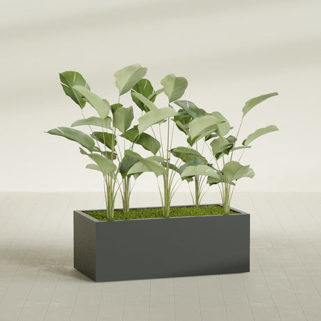 Torino Corner fiberglass planter in Matte Charcoal, shown planted, in a sunlit interior